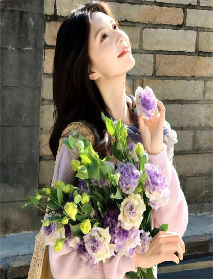 深度影评 哲学家思想探讨苦菜花2004的市场表现与观众反馈