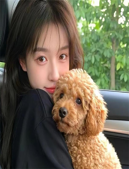 《弑君者》有什么特别之处？独特看点与特色解构解析